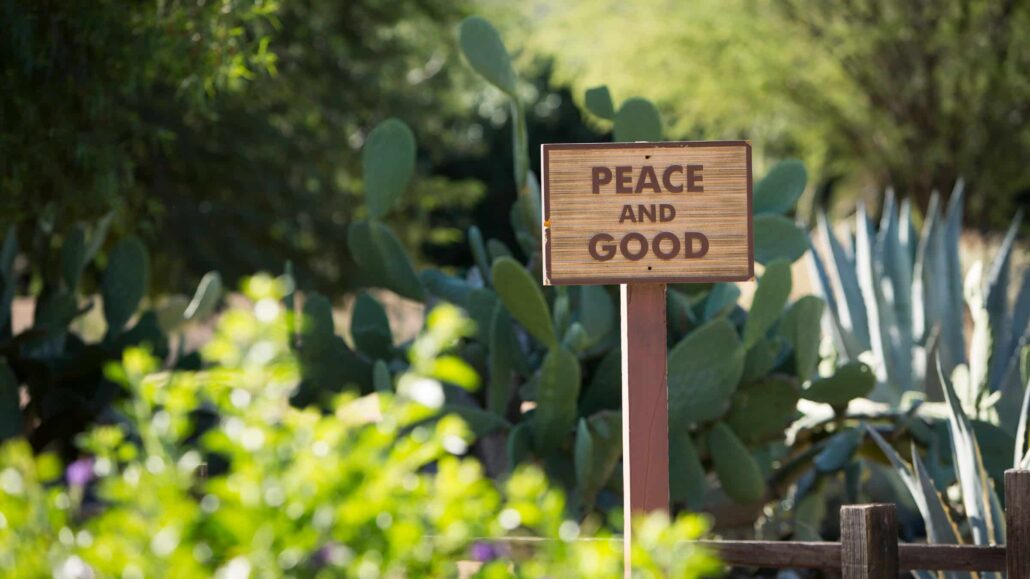 Peace and good sign | Image: Nancy Wiechec