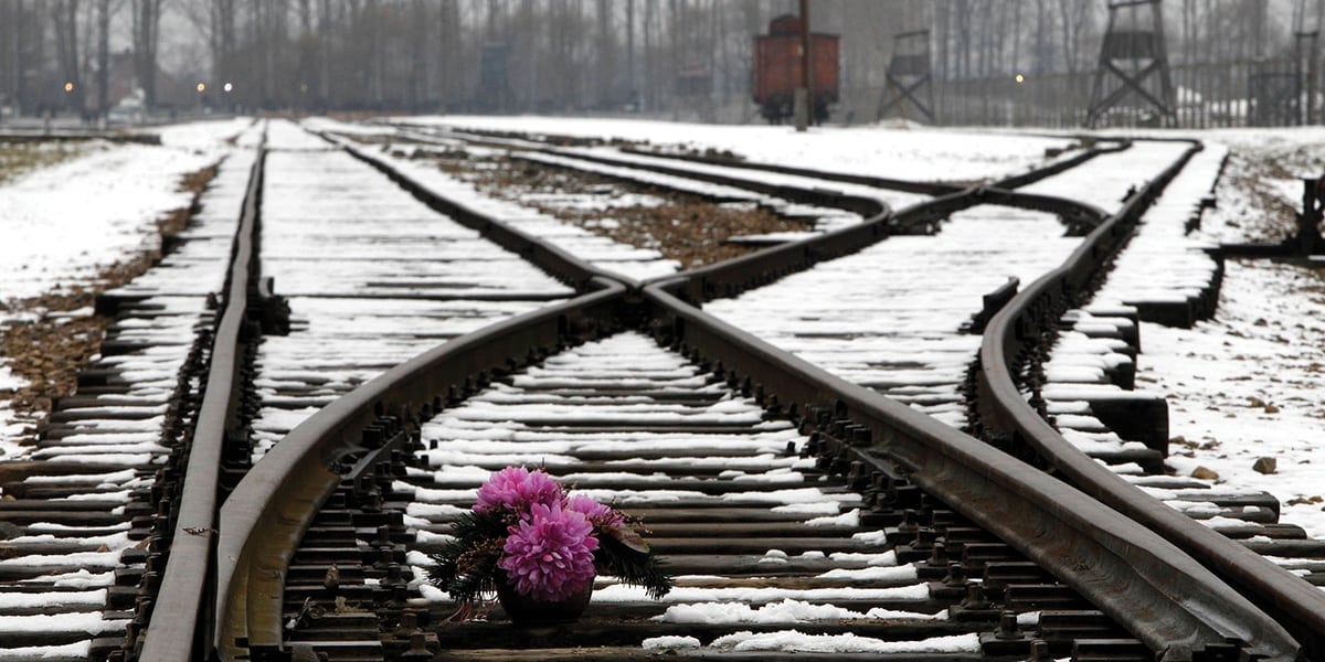 Flowers on a train track at Auschwitz