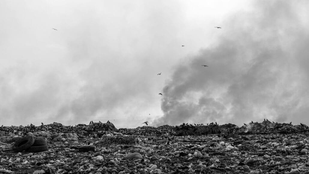 landfill image by Collab Media on Unsplash