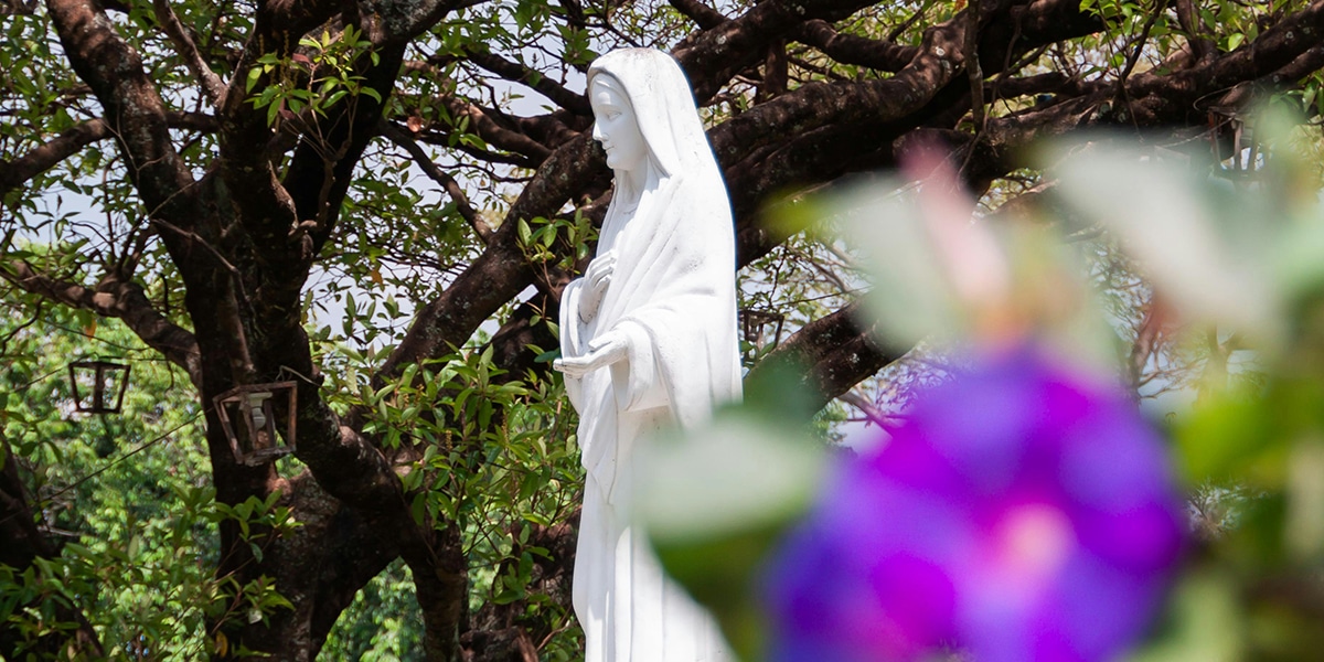 Statue of Mary in a garden.