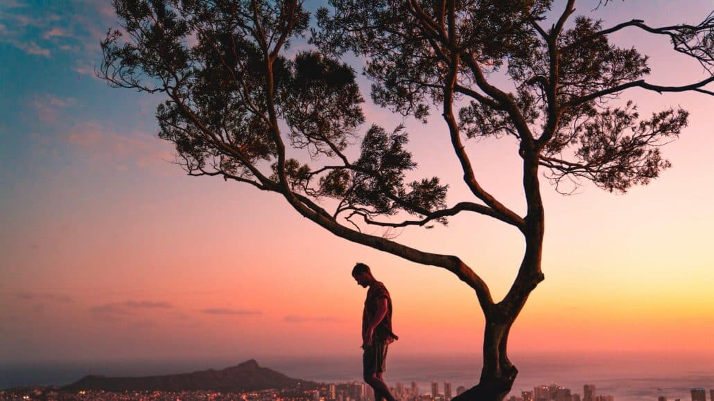 man in a tree | Photo by Lukas Rodriguez