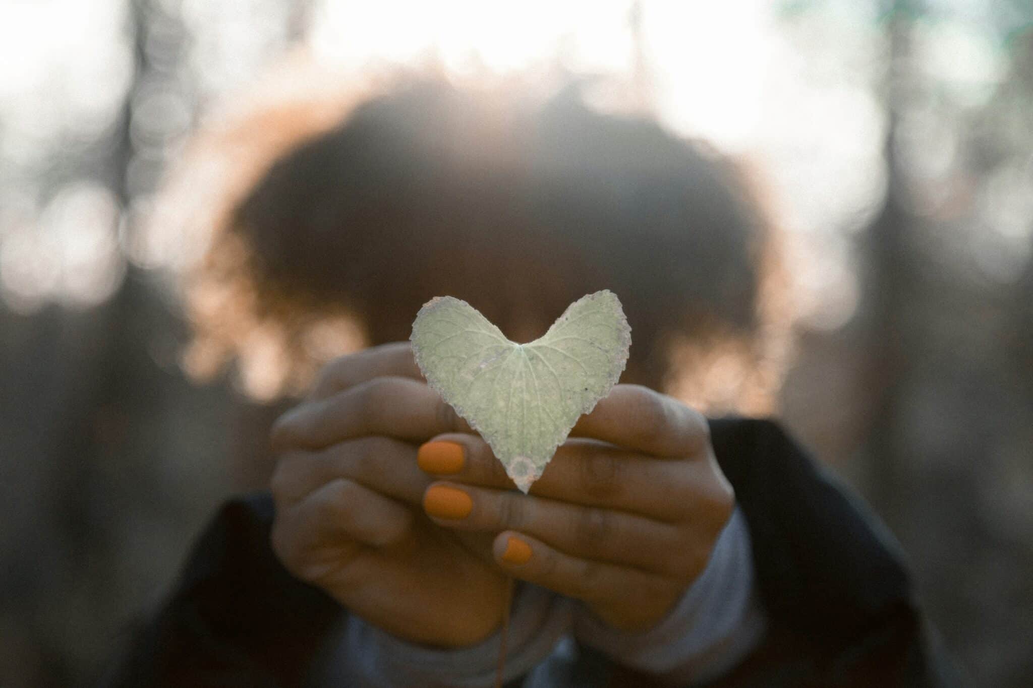 Peace Prayer | Photo by Jakob Owens on Unsplash