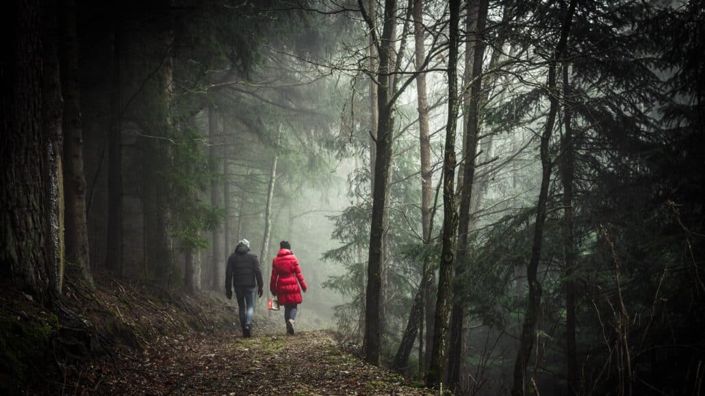 two people walking in the woods