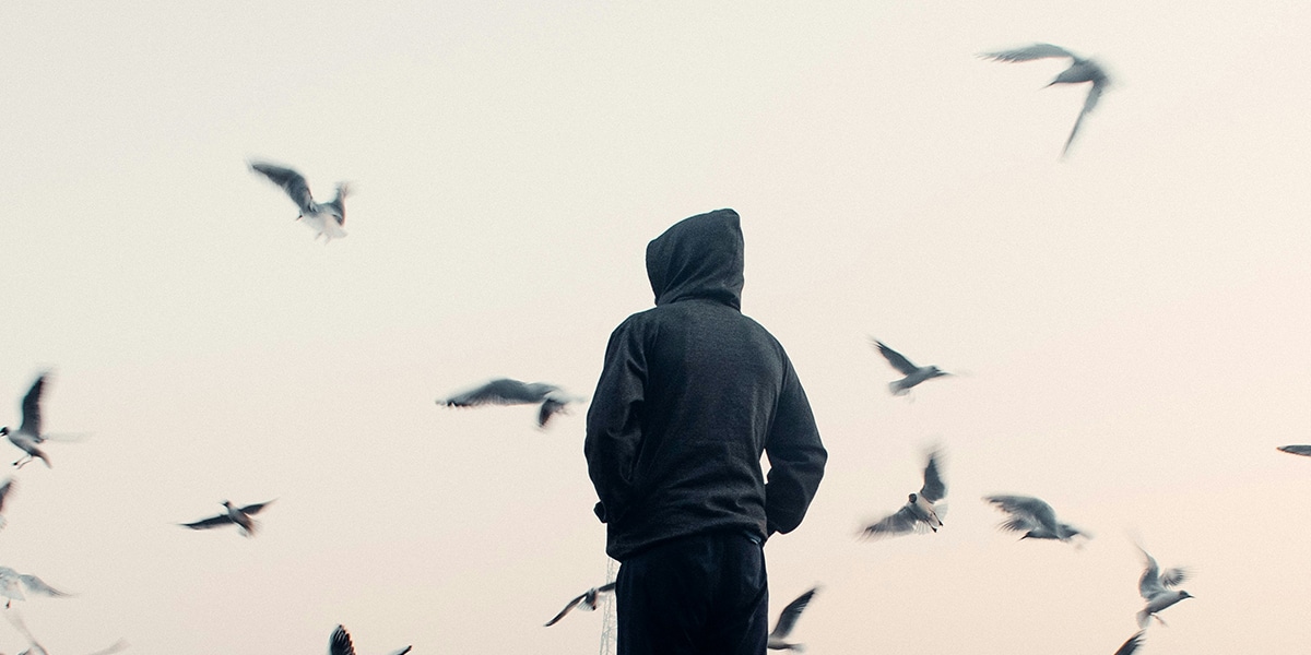 Man watching birds fly all over the damn place