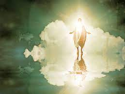 Everyday Miracles