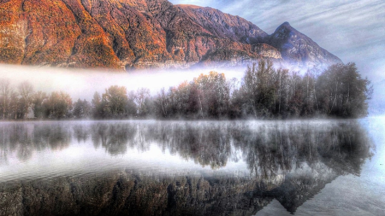 Fog, trees, and mountains reflecting off of water