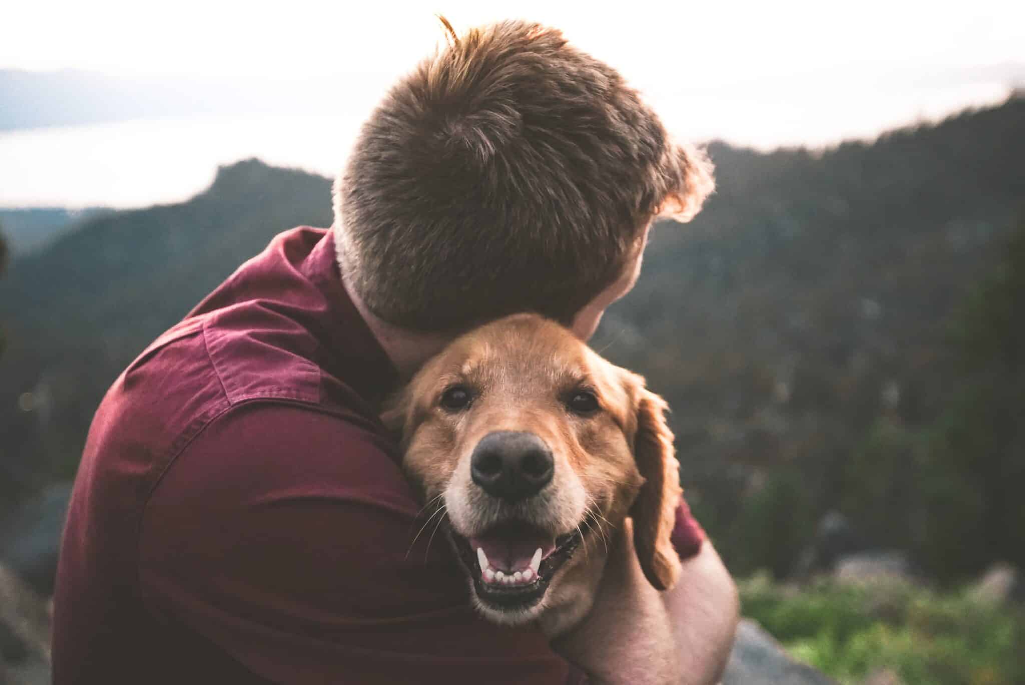 What a Dog Taught Me About God | Franciscan Media