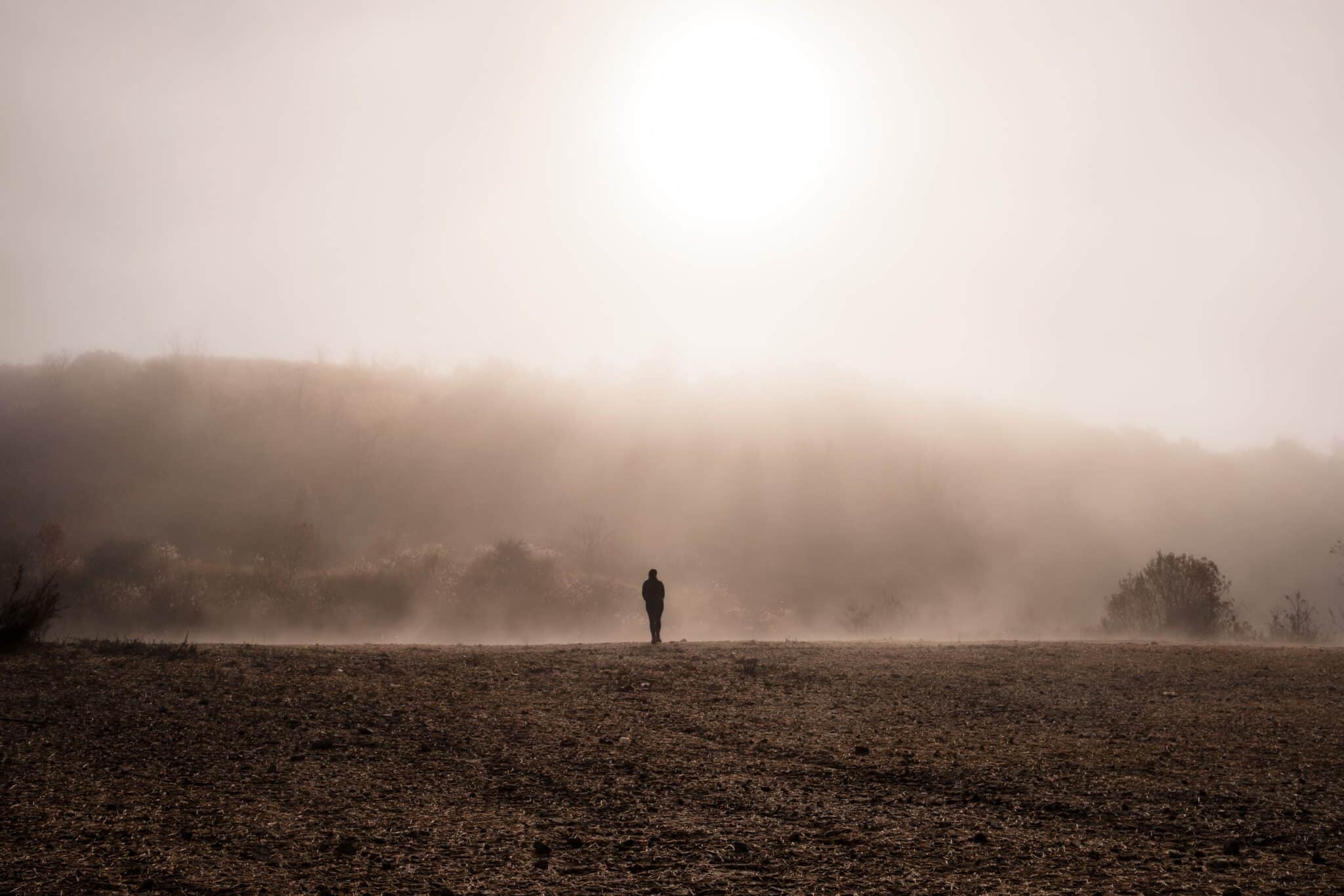 Person standing in a field under the sun on a foggy day