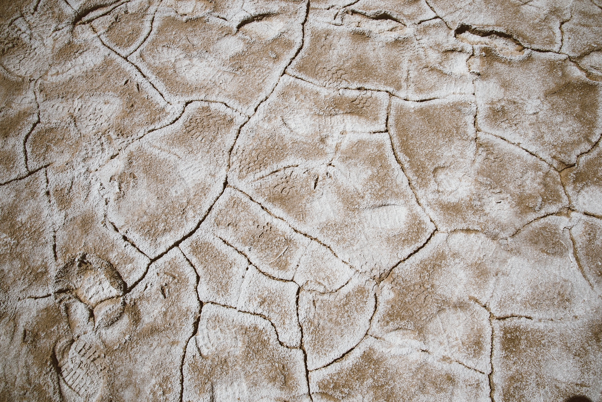 Footprints on cracked earth