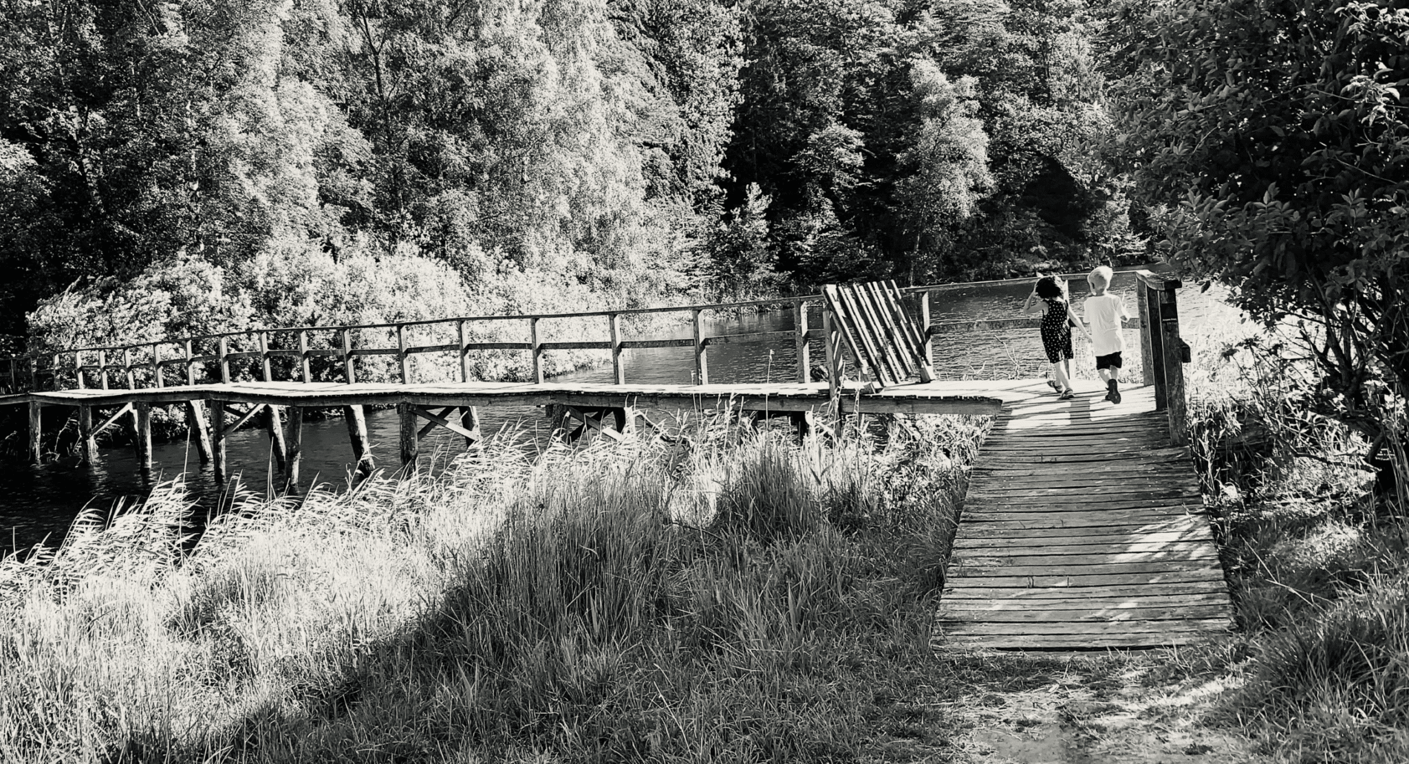 children crossing a bridge in summertime
