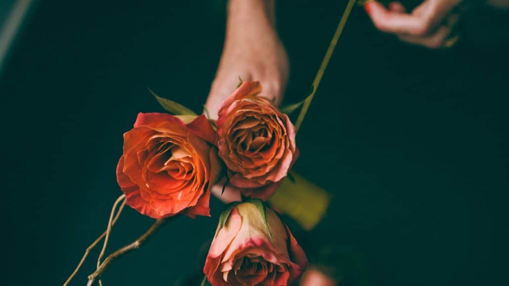 Person holding three roses