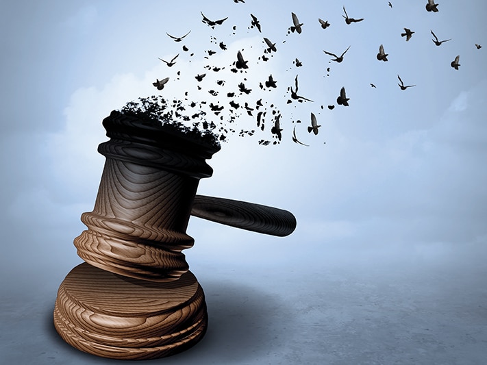 A graphic of a gavel turning into birds