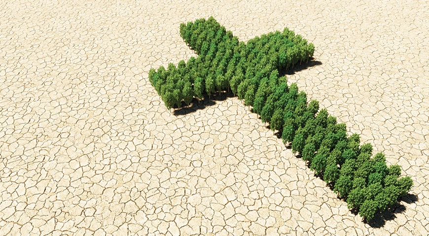 A cross made out of green trees in a barren desert