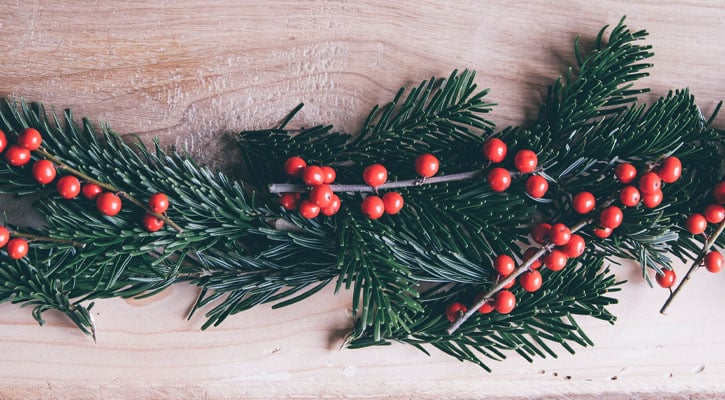 Evergreen branch with red berries