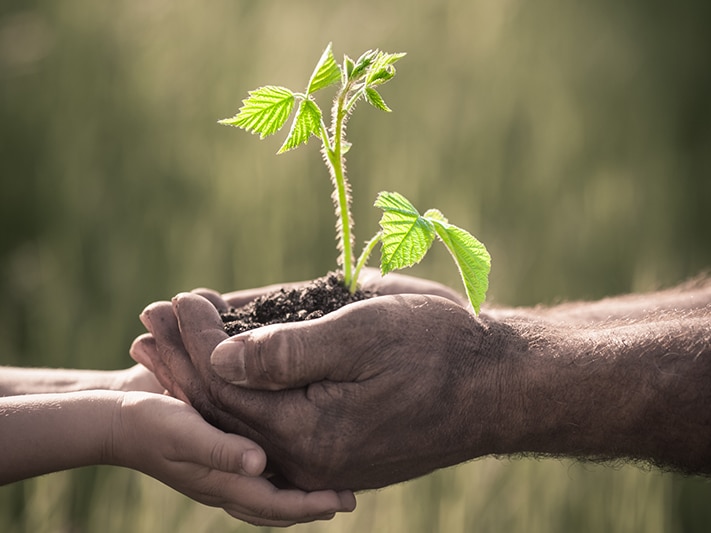 People holding a plant
