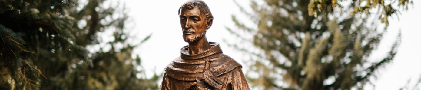 statue of saint francis of assisi