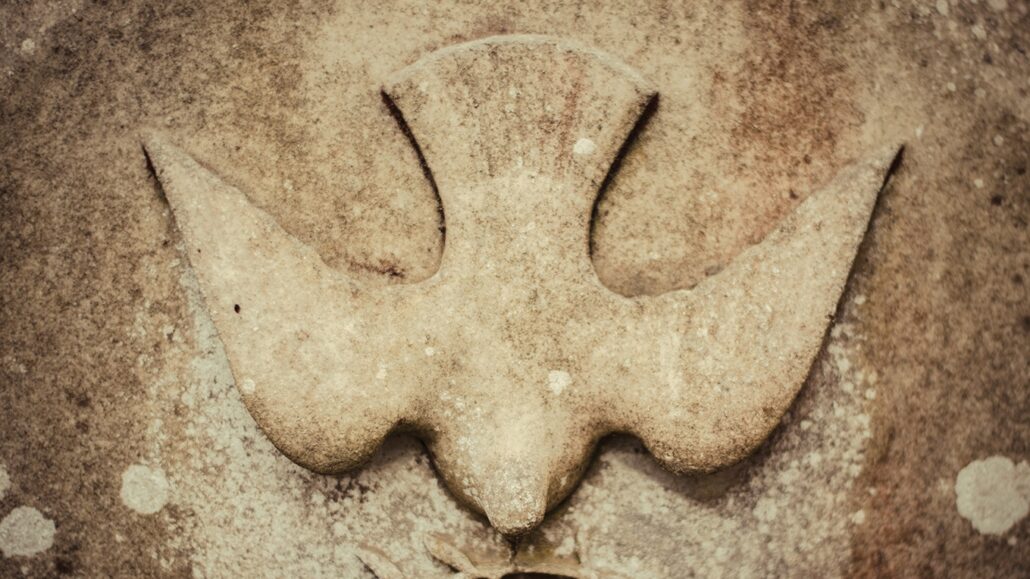 Relief on stone of a dove with a twig, the Christian symbol of the Holy Spirit, as well as symbolic rebirth and traditional secular symbol for peace.