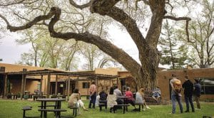 Center for Action and Contemplation | Franciscan Media