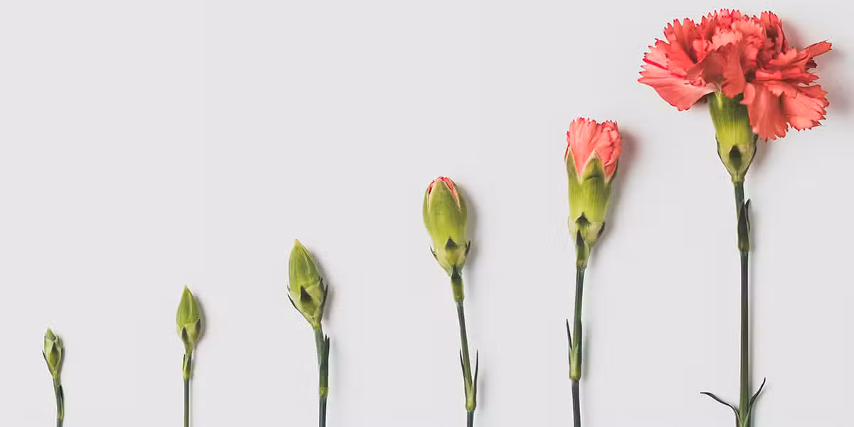 holiness grows