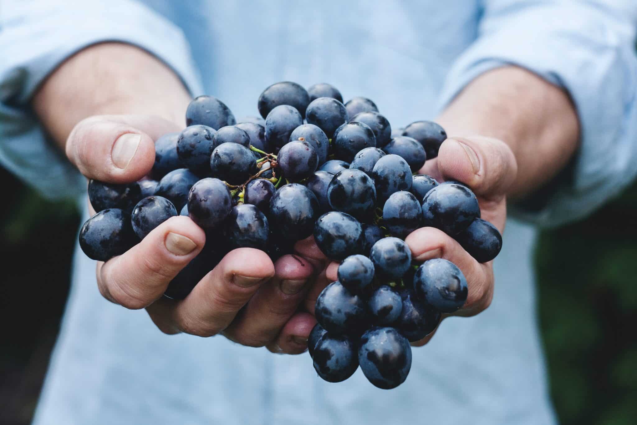 Man holding grapes | Photo by Maja Petric on Unsplash