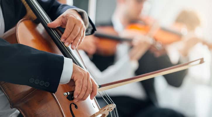 Cropped view of orchestra musicians