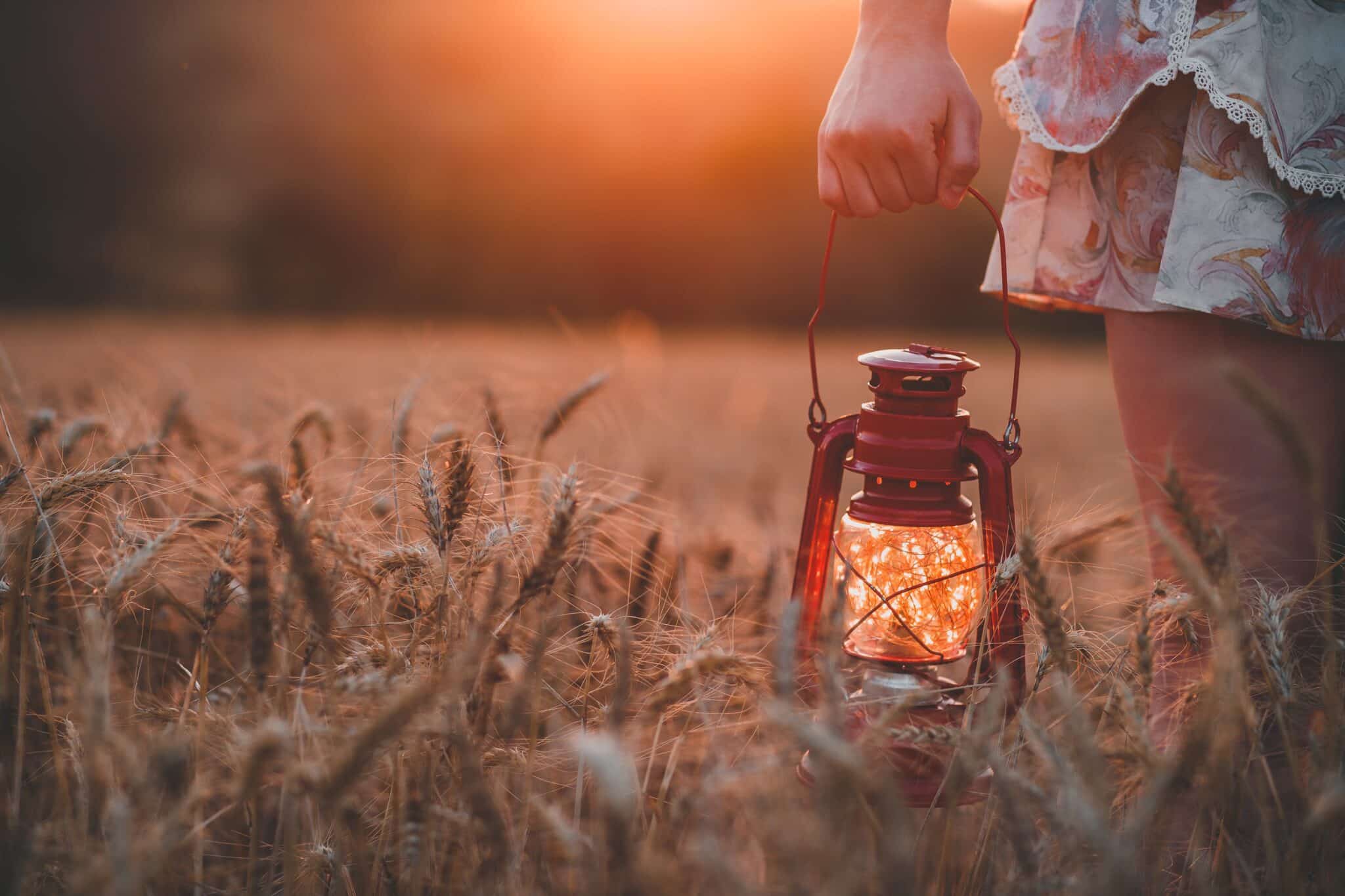 Fireflies in a lantern | Photo by Guilherme Stecanella on Unsplash