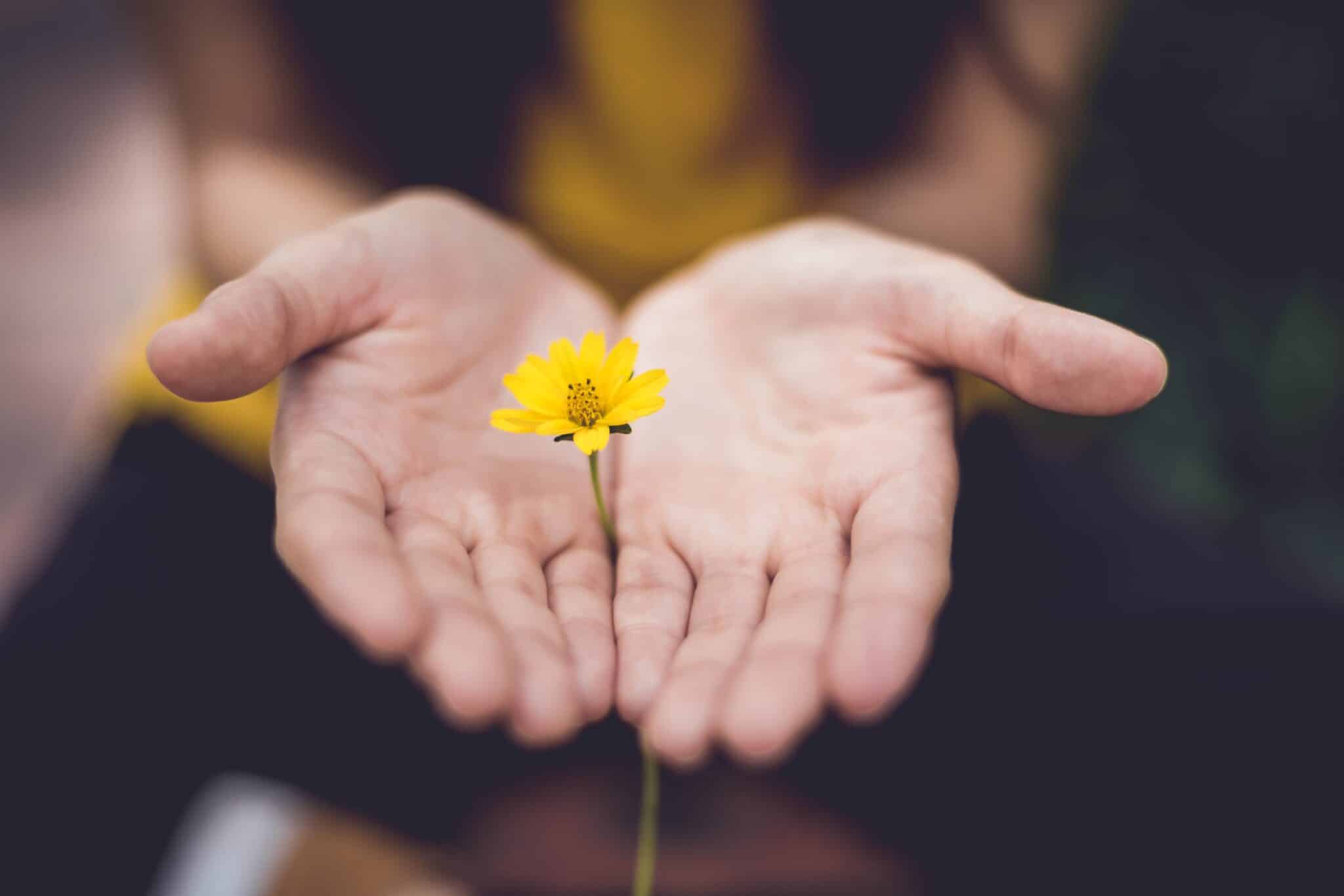 offering a flower | Photo by Lina Trochez on Unsplash