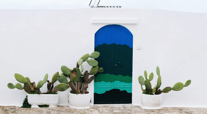 door and cactus plants