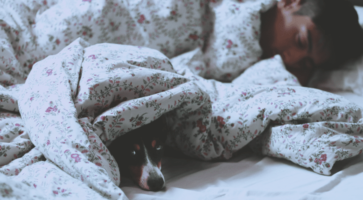 man and dog asleep