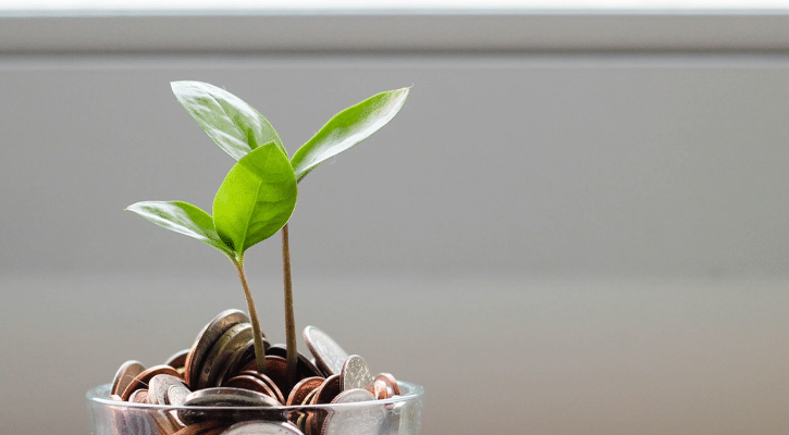 plant and coins in glass cup