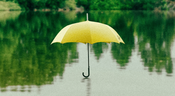 yellow umbrella ella ella ella