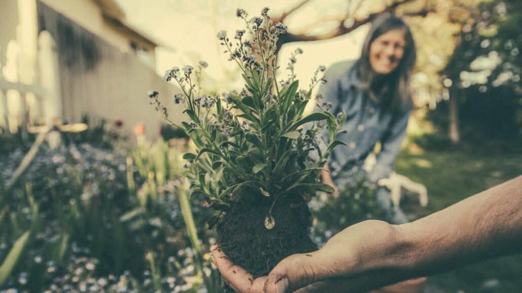 People gardening | Photo by Benjamin Combs on Unsplash