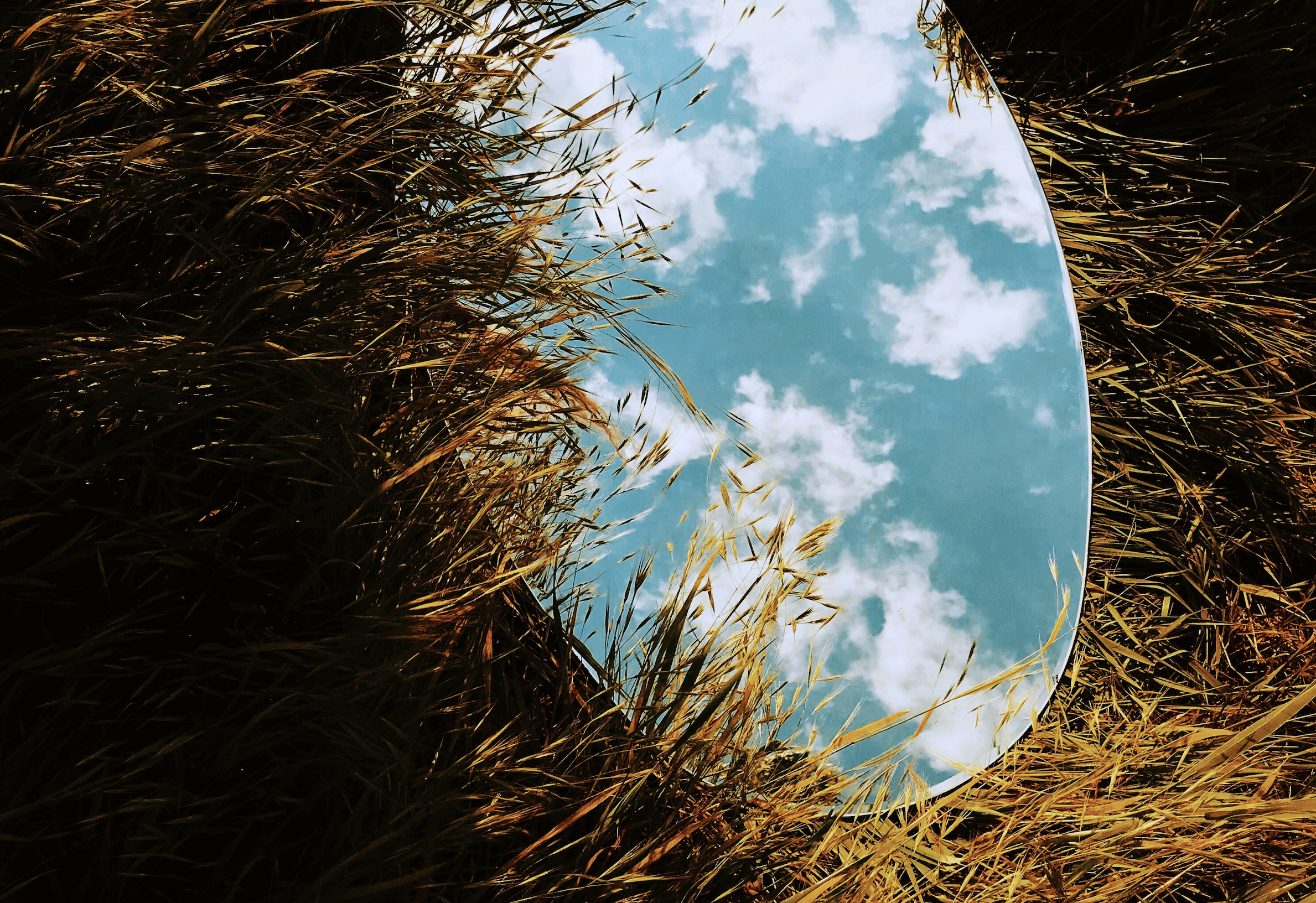 Mirror on the grass | Photo by Inga Gezalian on Unsplash