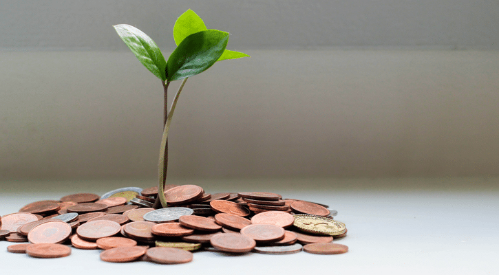 plant rising from coins