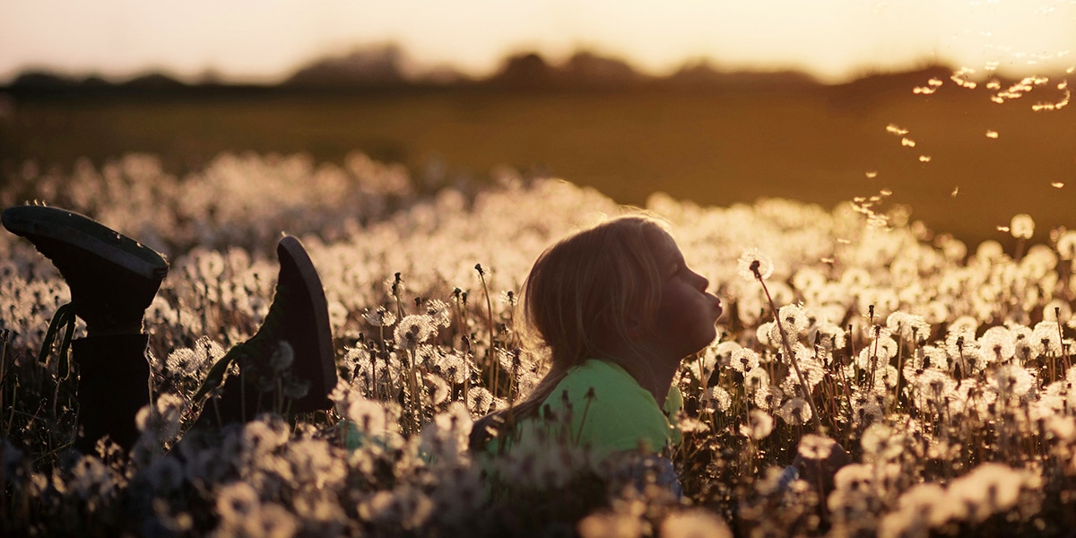 Young girl in a field of dandelions