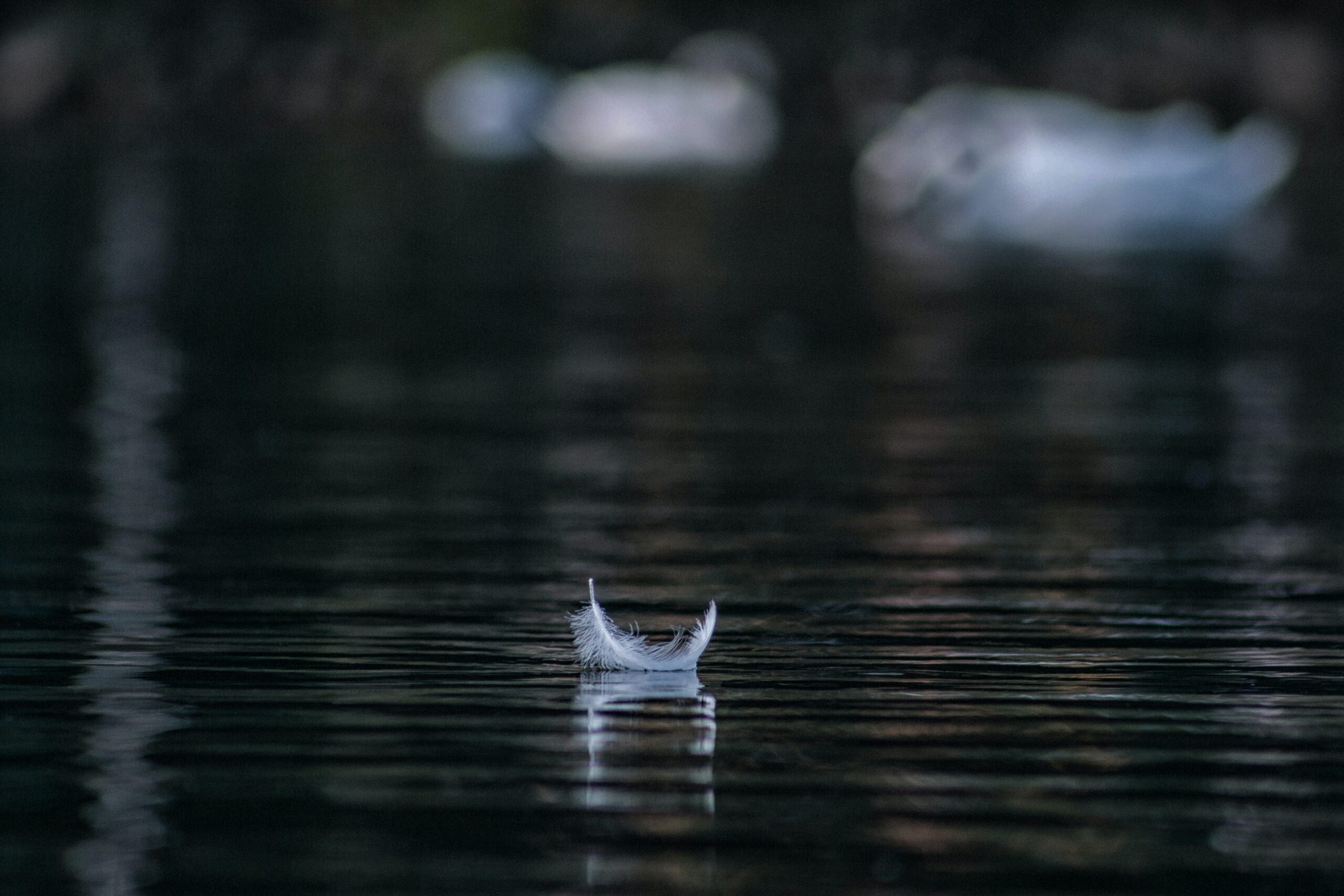 feather on water | Photo by Andraz Lazic on Unsplash