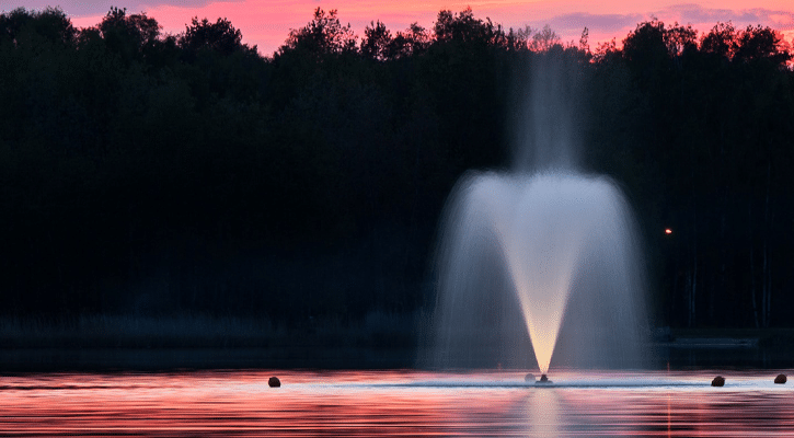 fountain and pink sky
