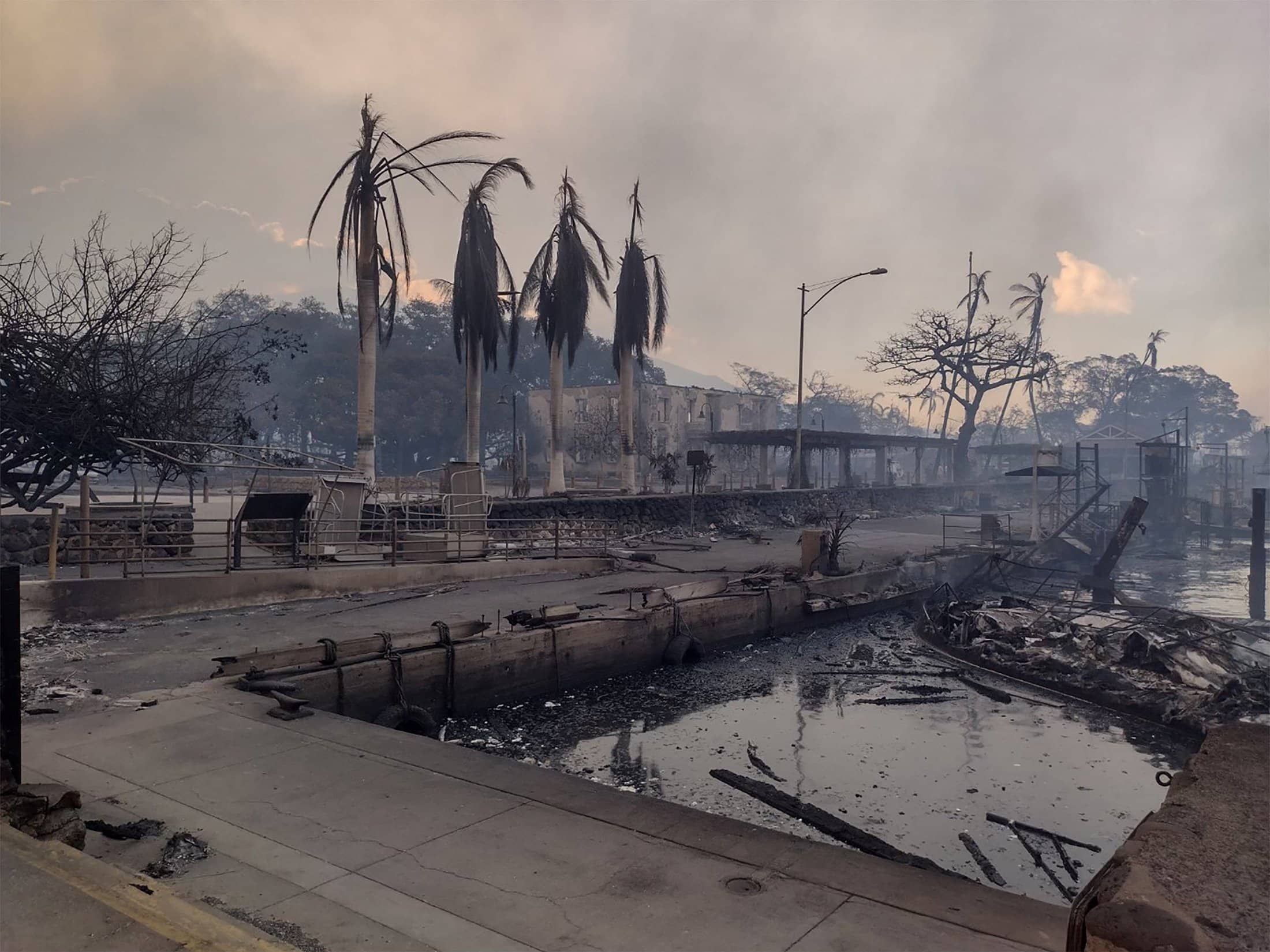 Aftermath of Maui wildfires