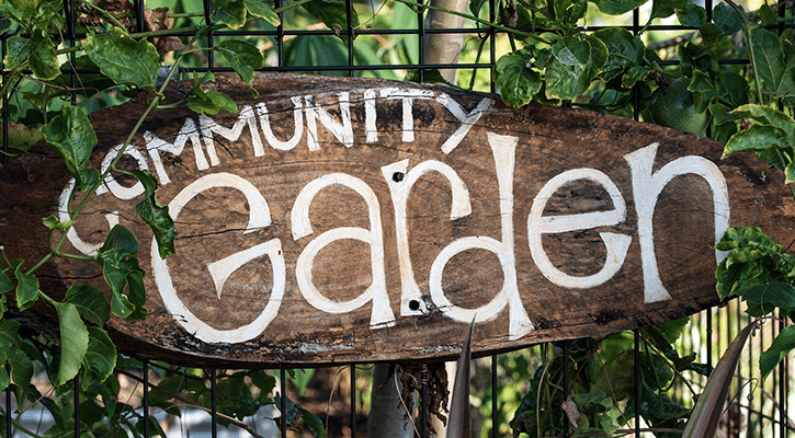 Community Garden sign