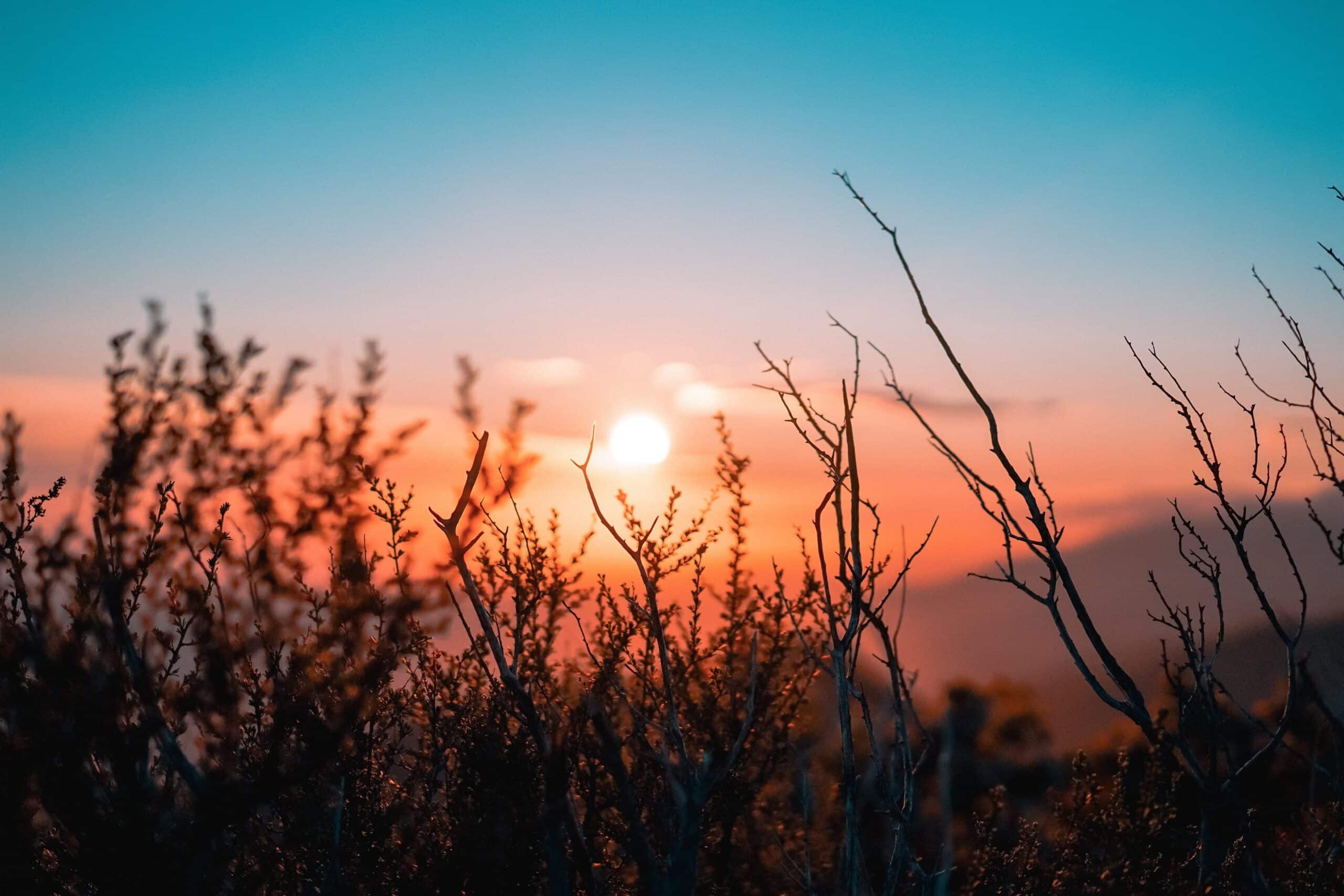 sunrise in the desert | Photo by OC Gonzalez on Unsplash