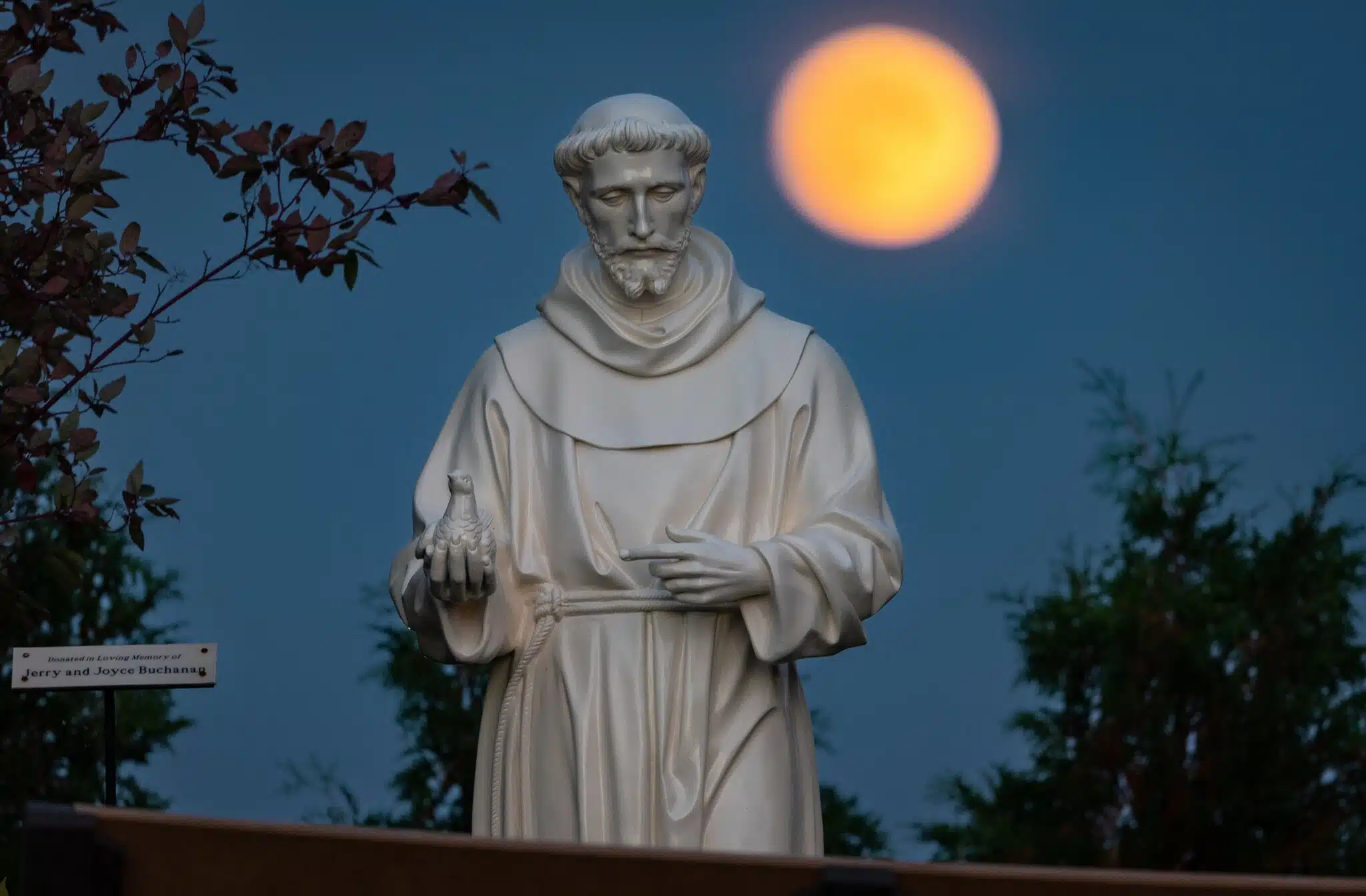 Statue of St. Francis