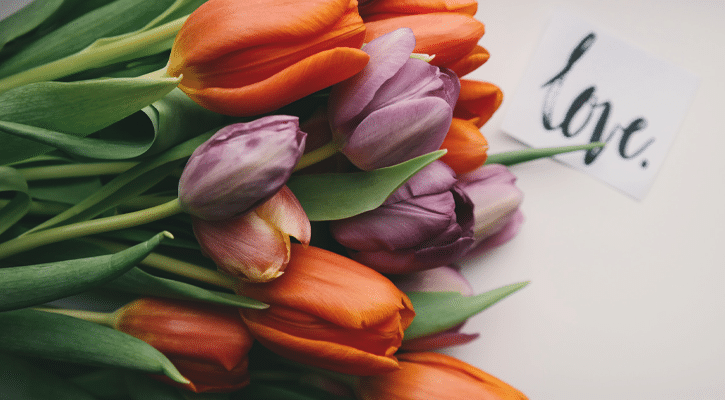 colorful bunch of tulips