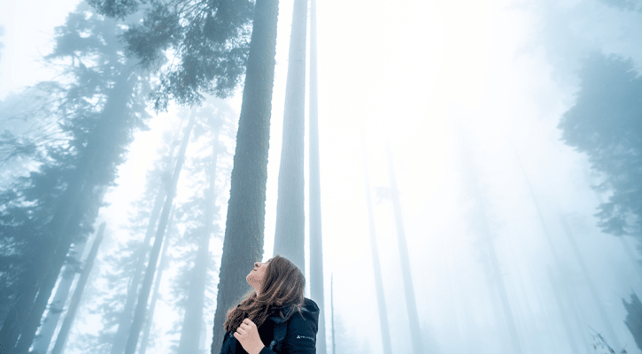 woman looking up through fog at trees