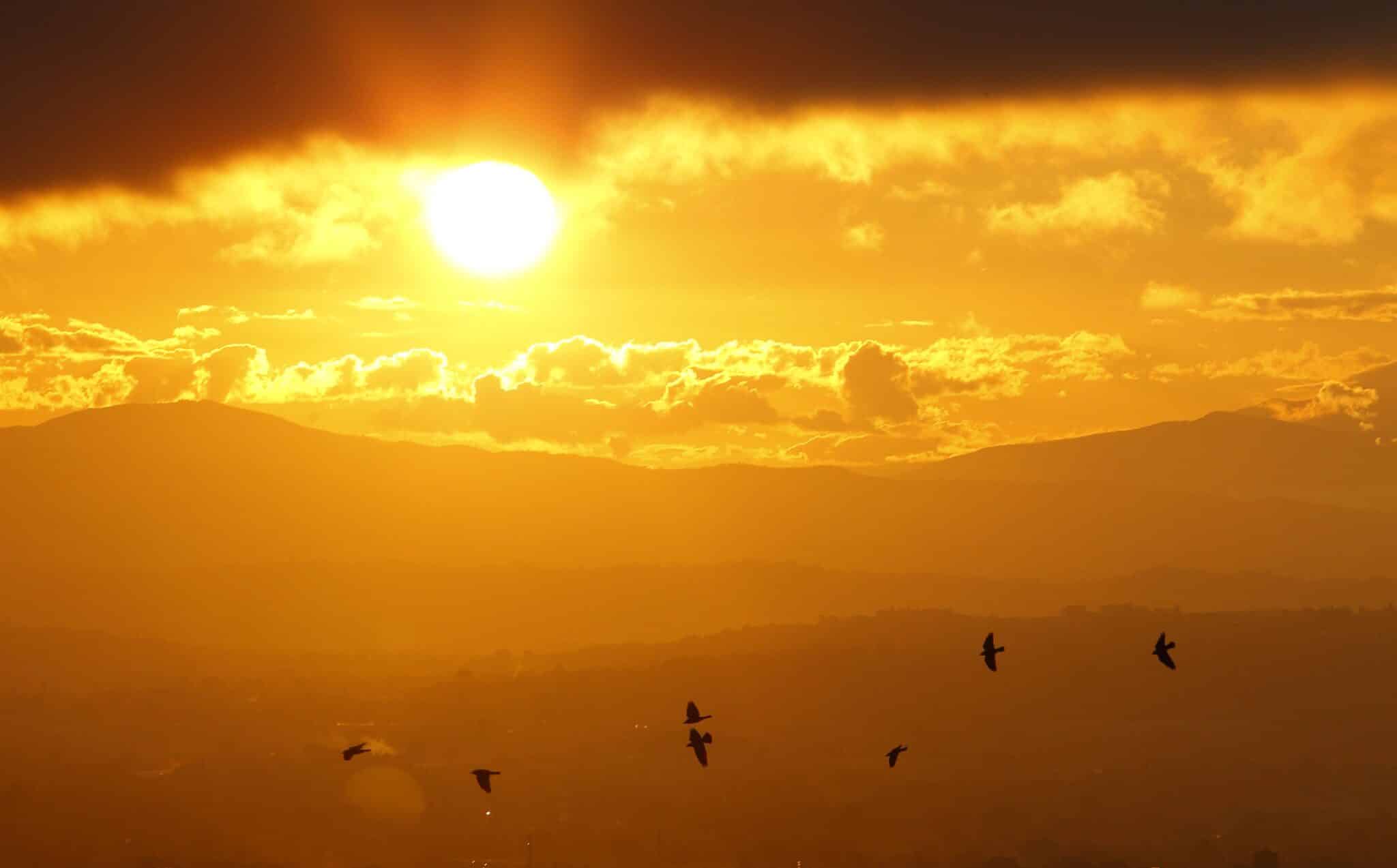 Birds fly as the sun sets over the mountains near Assisi, Italy, in this Oct. 26, 2011, file photo. St. Francis, who was born in Assisi in the 12th century, is the patron saint of ecology and his feast day is Oct. 4. (CNS photo/Paul Haring)