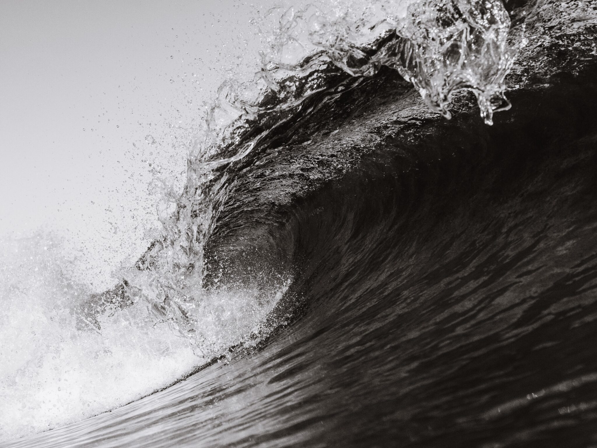 wave in the ocean | Photo by Matt Hardy on Unsplash