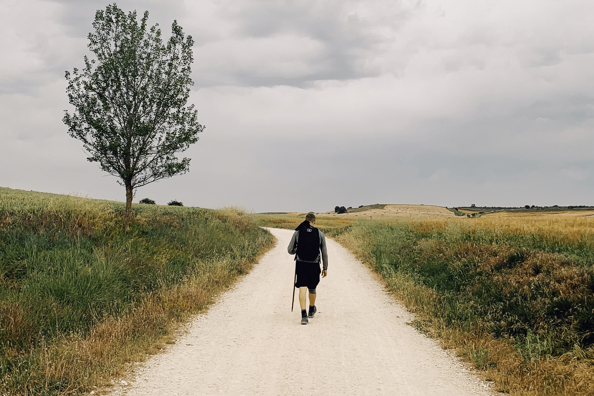 pilgrim walking