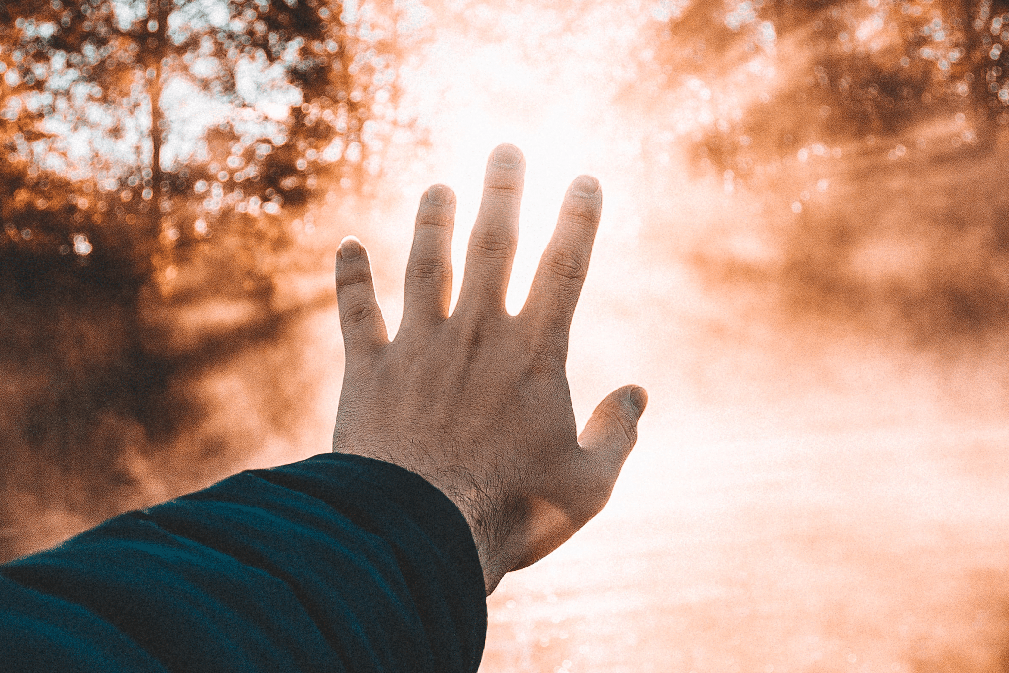 hand in front of bright light