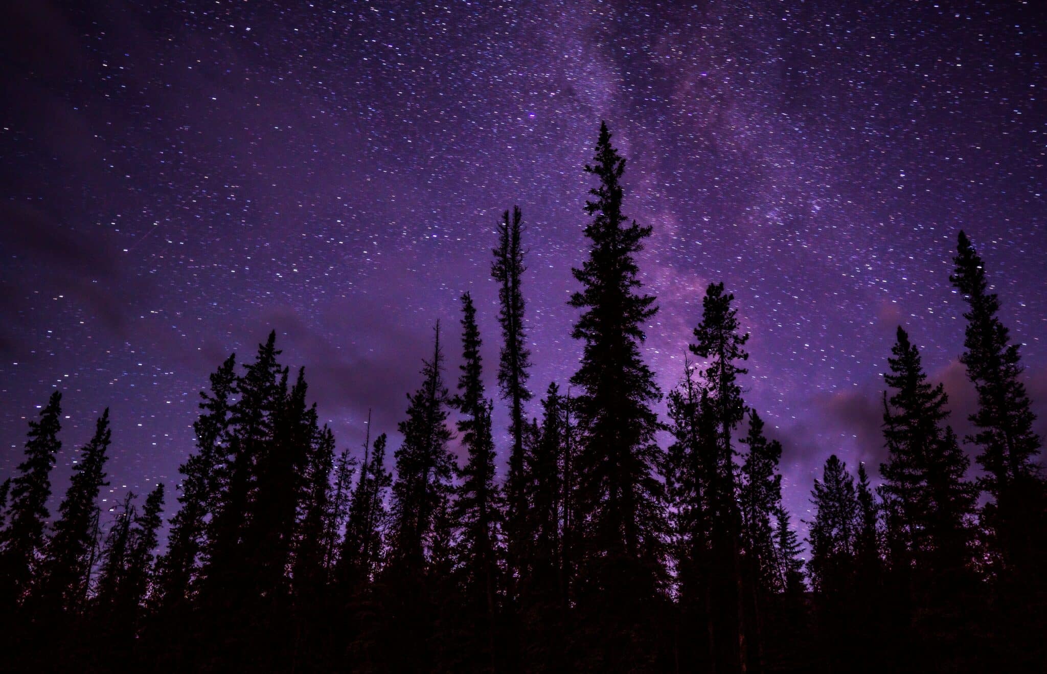 starry night | Photo by Joshua Woroniecki on Unsplash