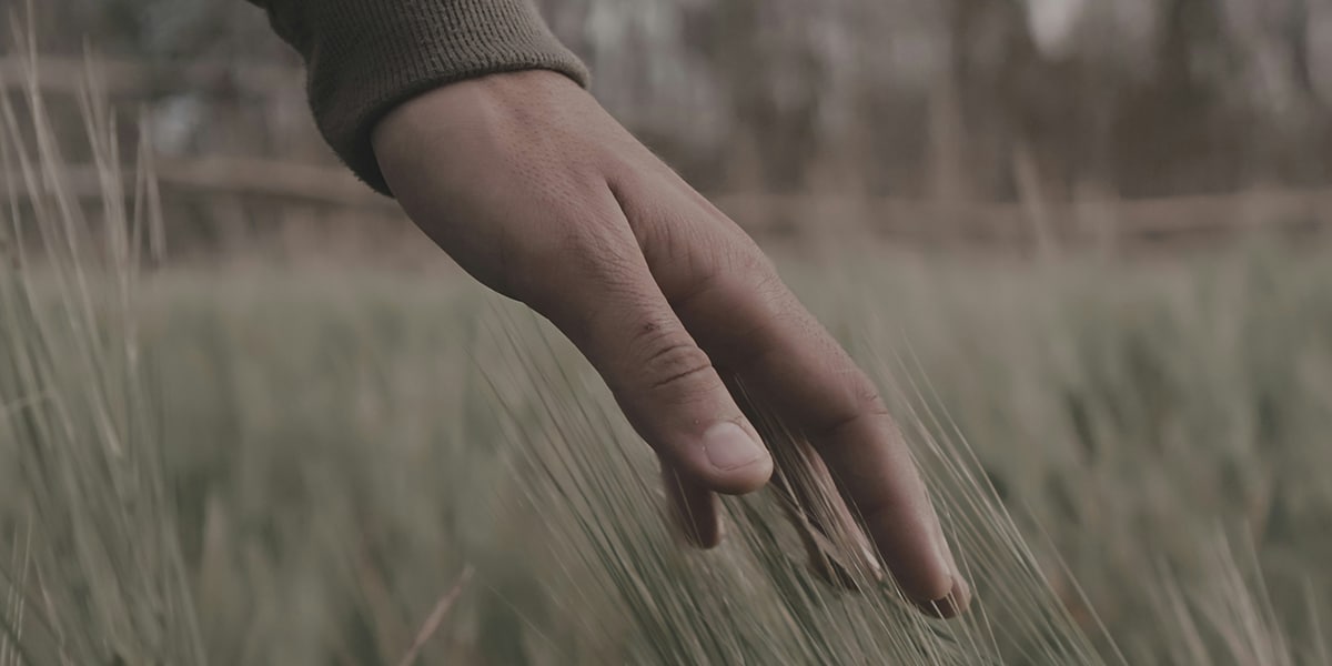 hands softly touching grass