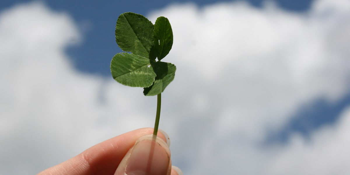 hand holding a four leaf clover